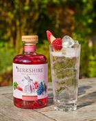 Gin og tonic med Berkshire Botanical Rhubarb and Raspberry Gin